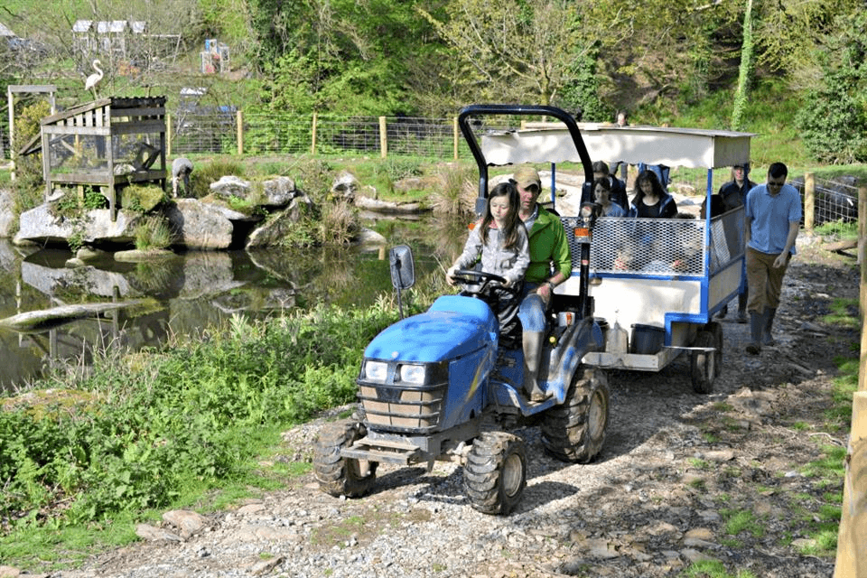 Coombe Mill Farm Alternative Holiday Ideas