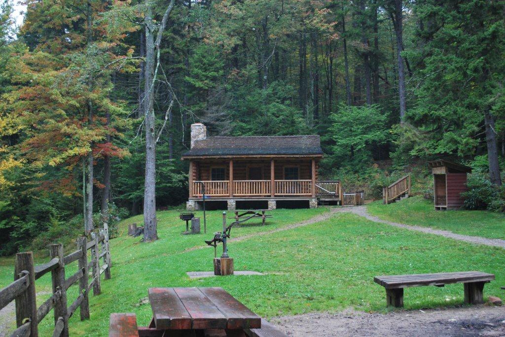 forest lodge holidays