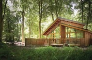 Blackwood forest lodges hampshire